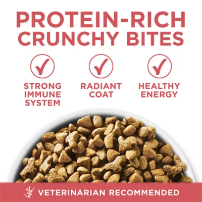 Purina ONE +Plus Indoor Advantage Dry Cat Food - Healthy Weight, Salmon - Image 6