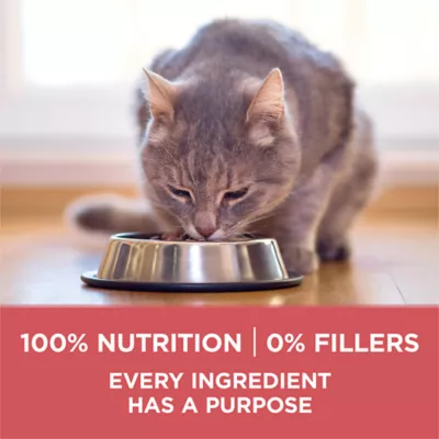 Purina ONE +Plus Indoor Advantage Dry Cat Food - Healthy Weight, Salmon - Image 7