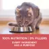 Purina ONE +Plus Indoor Advantage Dry Cat Food - Healthy Weight, Salmon image thumbnail 7