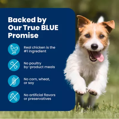 Blue Buffalo Life Protection Formula Small Breed Chicken & Brown Rice Adult Dry Dog Food - Image 8