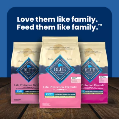 Blue Buffalo Life Protection Formula Small Breed Chicken & Brown Rice Adult Dry Dog Food - Image 10