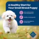 Product Blue Buffalo® Life Protection Formula™ Small Breed Puppy Dry Dog Food - Chicken & Oatmeal