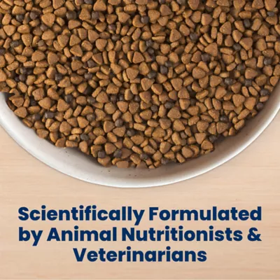 Blue Buffalo Life Protection Formula Small Breed Chicken & Oatmeal Puppy Dry Food with DHA & ARA - Image 7