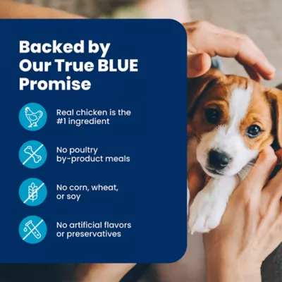 Blue Buffalo Life Protection Formula Small Breed Chicken & Oatmeal Puppy Dry Food with DHA & ARA - Image 8