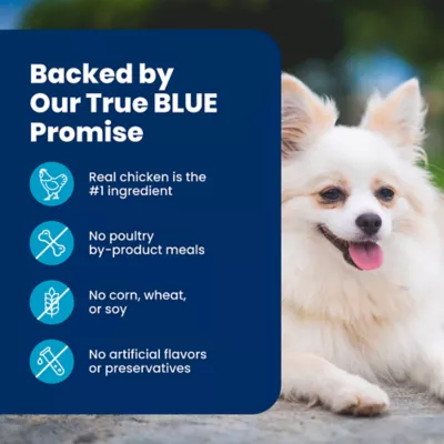Blue Buffalo Life Protection Formula Small Breed Chicken & Brown Rice Senior Dry Dog Food - Image 8