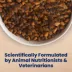 Blue Buffalo Life Protection Formula Small Breed Lamb & Brown Rice Adult Dry Dog Food image thumbnail 7