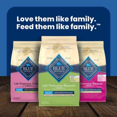 Blue Buffalo Life Protection Formula Small Breed Lamb & Brown Rice Adult Dry Dog Food - Image 10