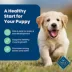 Blue Buffalo® Life Protection Formula™ Puppy Dry Dog Food - Lamb & Oatmeal image thumbnail 4