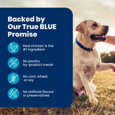 Blue Buffalo Life Protection Formula Chicken & Brown Rice Senior Dry Dog Food - Image 8
