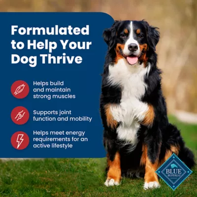 Product Blue Buffalo® Life Protection Formula™ Adult Dry Dog Food - Beef & Brown Rice