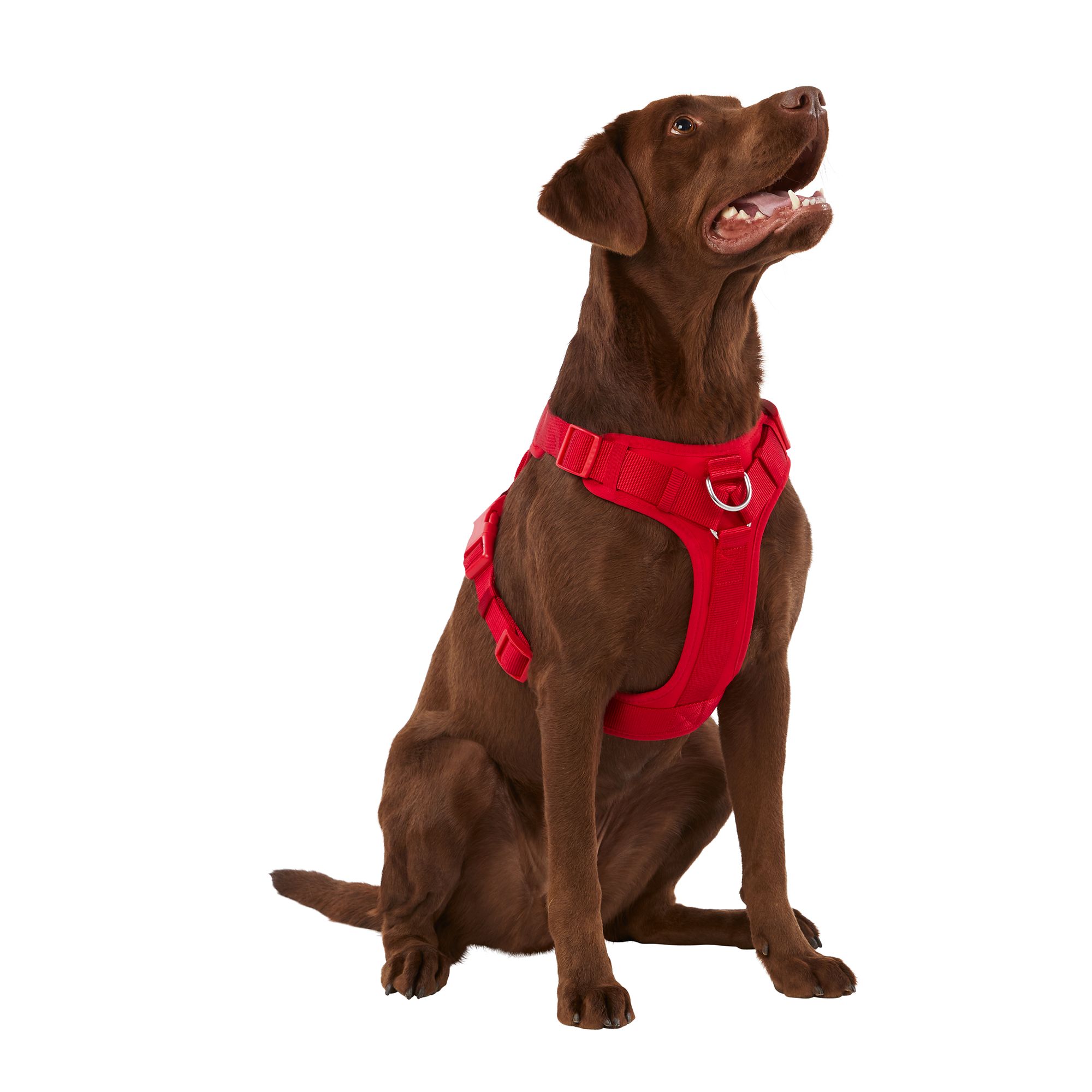 Top Paw Neoprene Comfort Dog Harness