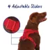 Top Paw® Neoprene Dog Harness, Adjustable, Durable, Comfortable, Multiple Sizes & Colors image thumbnail 3