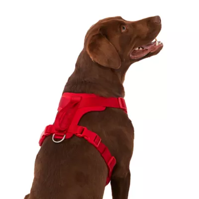 Top Paw Neoprene Comfort Dog Harness