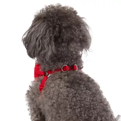 Product Top Paw® Mesh Comfort Dog Harness