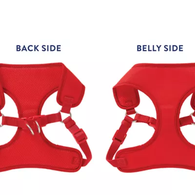 Top Paw® Mesh Comfort Dog Harness, Adjustable, Comfortable, Multiple Sizes, Multiple Colors - Image 4