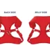 Top Paw® Mesh Comfort Dog Harness, Adjustable, Comfortable, Multiple Sizes, Multiple Colors image thumbnail 4