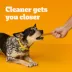 Pedigree® Dentastix Small/Medium Adult Dental Dog Treats - Chicken image thumbnail 3