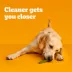 Pedigree® Dentastix Large Breed Adult Dental Dog Treats - Fresh image thumbnail 3