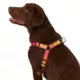 Product Top Paw® Yellow & Pink Ombre Dog Harness