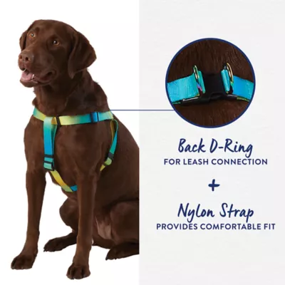 Top Paw Yellow Blue Ombre Dog Harness