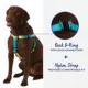 Product Top Paw® Yellow & Blue Ombre Dog Harness