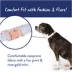 Top Paw® Cheetah Comfort Neoprene Dog Collar image thumbnail 2