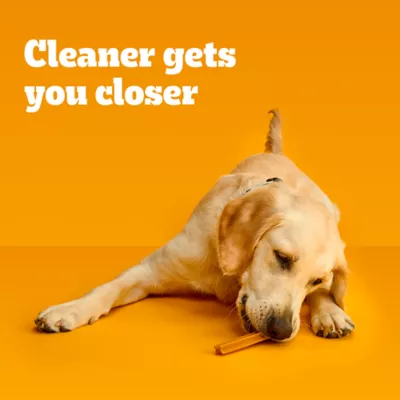 Product Pedigree® Dentastix Large Breed Adult Dental Dog Treats - Chicken