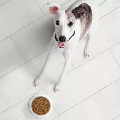 Product NUTRO ULTRA™ Adult Dry Dog Food - Chicken, Lamb, Salmon