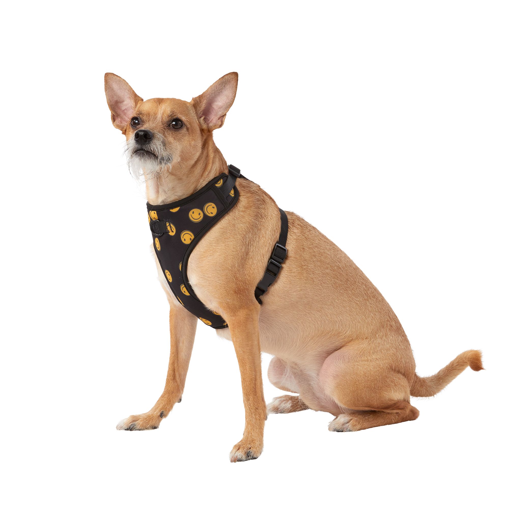 Smiley Face Dog Harness - Yellow - Spotted By Humphrey