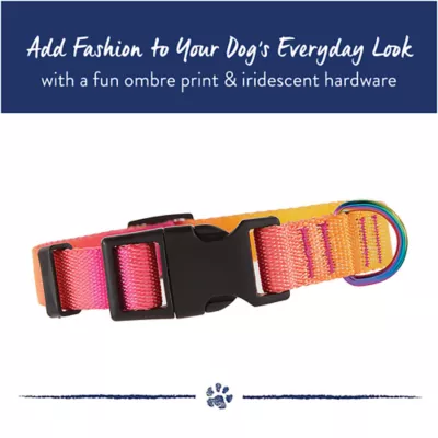 Product Top Paw® Ombre Dog Collar