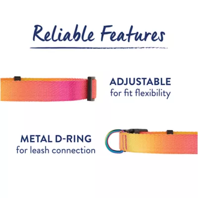 Product Top Paw® Ombre Dog Collar