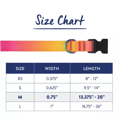 Product Top Paw® Ombre Dog Collar
