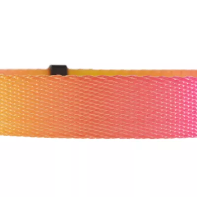 Product Top Paw® Ombre Dog Collar