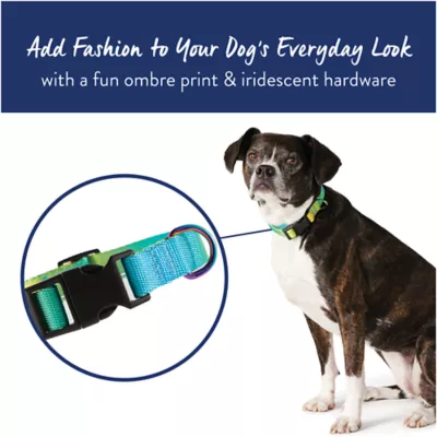 Product Top Paw® Ombre Dog Collar