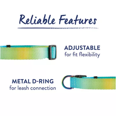 Product Top Paw® Ombre Dog Collar