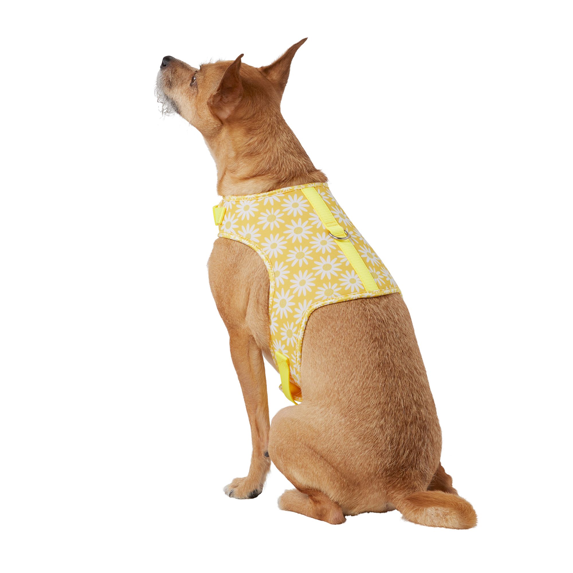 Top paw on sale dog harness vest