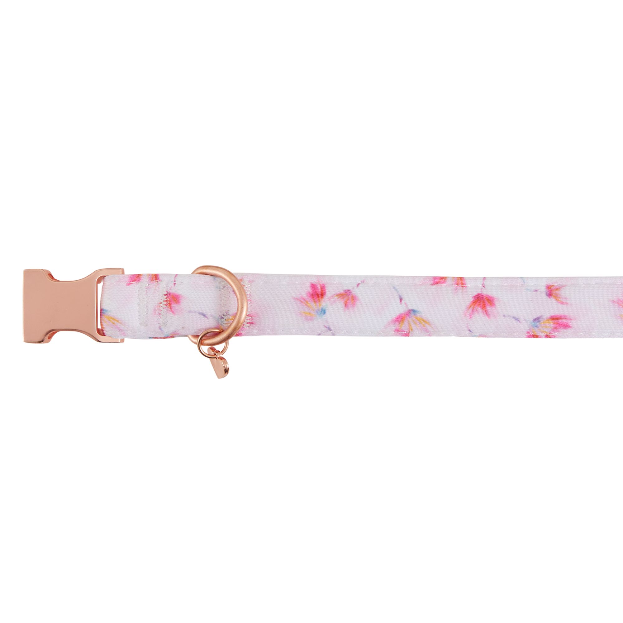 Lucy & Co. Posy Pink Dog Collar, Size: Medium | PetSmart