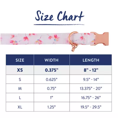 Product Top Paw® Peony Comfort Neoprene Dog Collar