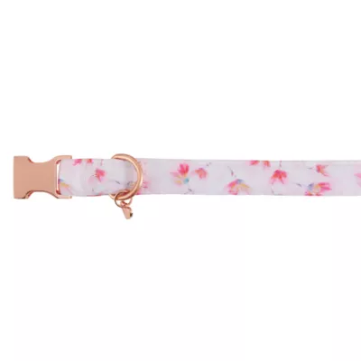 Product Top Paw® Pink Peony Comfort Neoprene Dog Collar