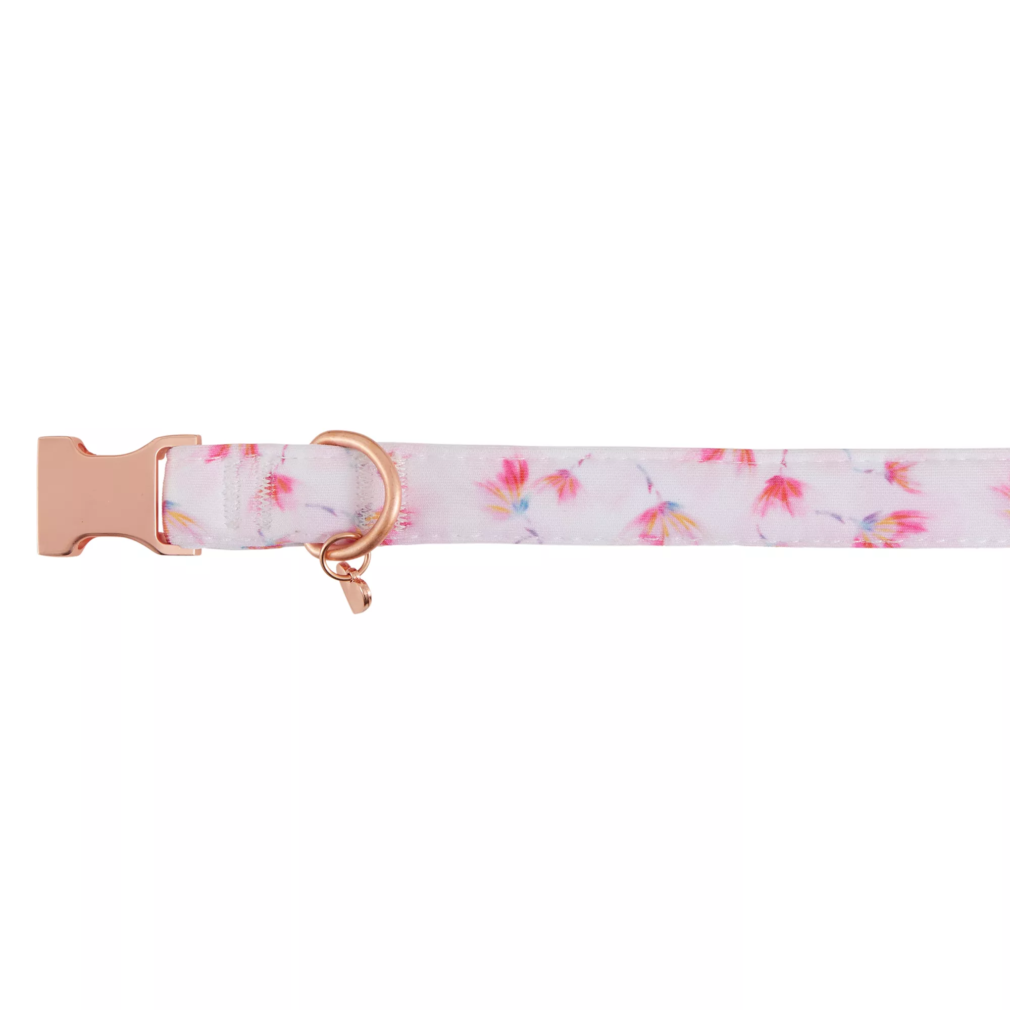 Top Paw® Peony Comfort Neoprene Dog Collar