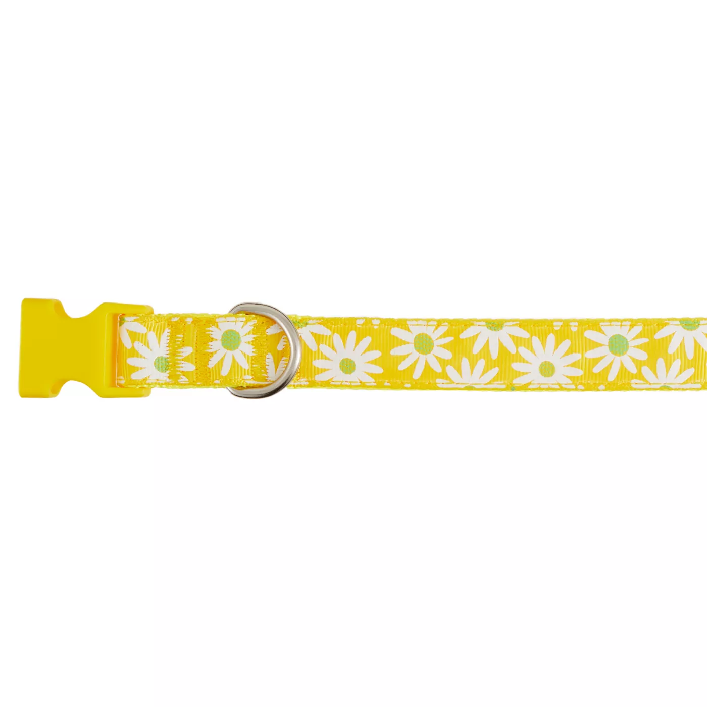 Dog collars with daisies on them sales