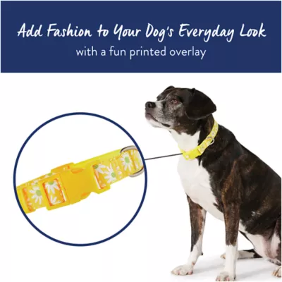 Product Top Paw® Yellow Daisy Poly Blend Dog Collar