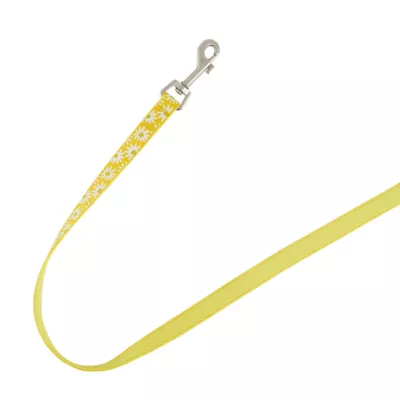 Product Top Paw® Yellow Daisy Dog Leash: 6-ft long, 5/8-in wide