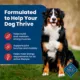 Product Blue Buffalo® Life Protection Formula™ Adult Dry Dog Food - Beef & Brown Rice