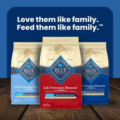 Blue Buffalo Life Protection Formula Beef & Brown Rice Adult Dry Dog Food - Image 10