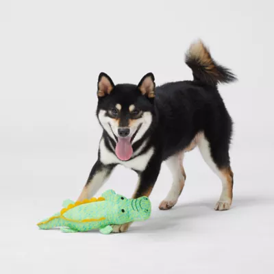 Product Joyhound Crazy Comfy Fly Knit Plush Alligator Dog Toy - Squeaker