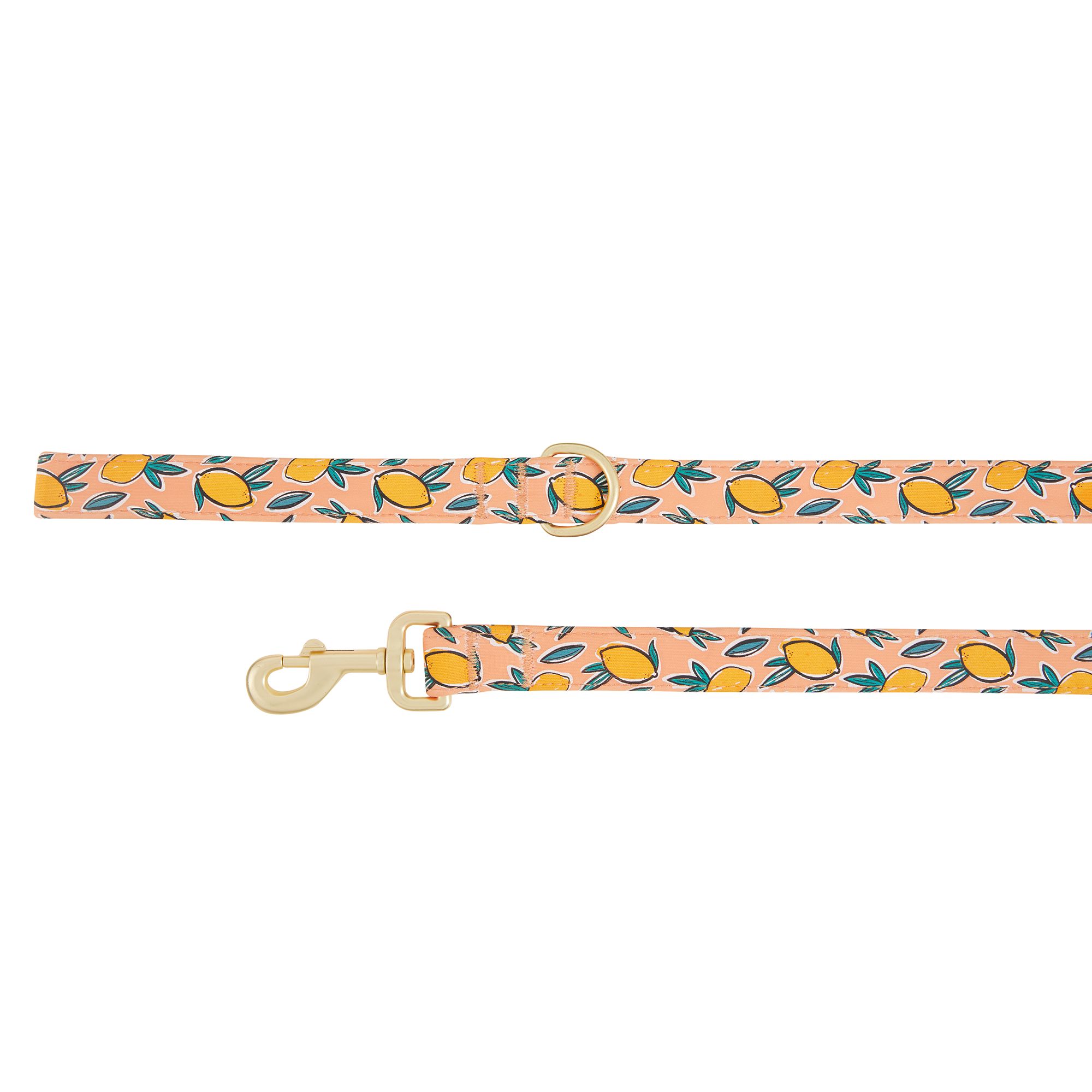 Top Paw® Lemon Print Dog Leash 4ft long, 1in wide dog Leashes