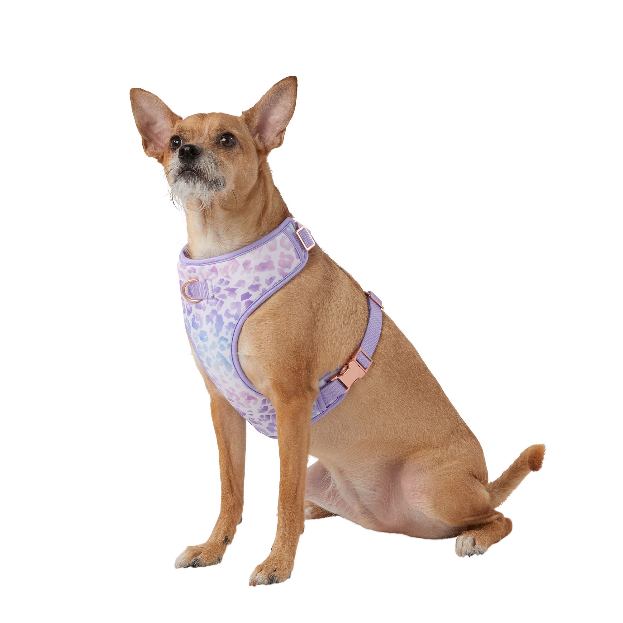 Top paw outlet step in harness