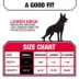 KONG® Dog Collar, Chew Resistant, Durable, Multiple Sizes & Colors image thumbnail 5