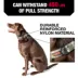 KONG® Dog Collar, Chew Resistant, Durable, Multiple Sizes & Colors image thumbnail 2